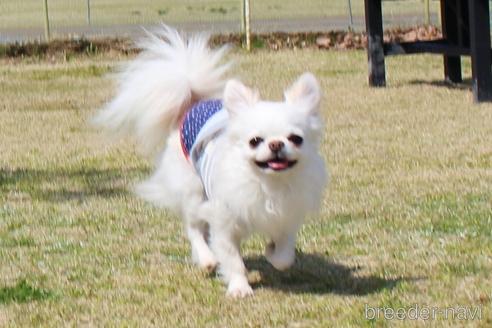 コナンくん1枚目